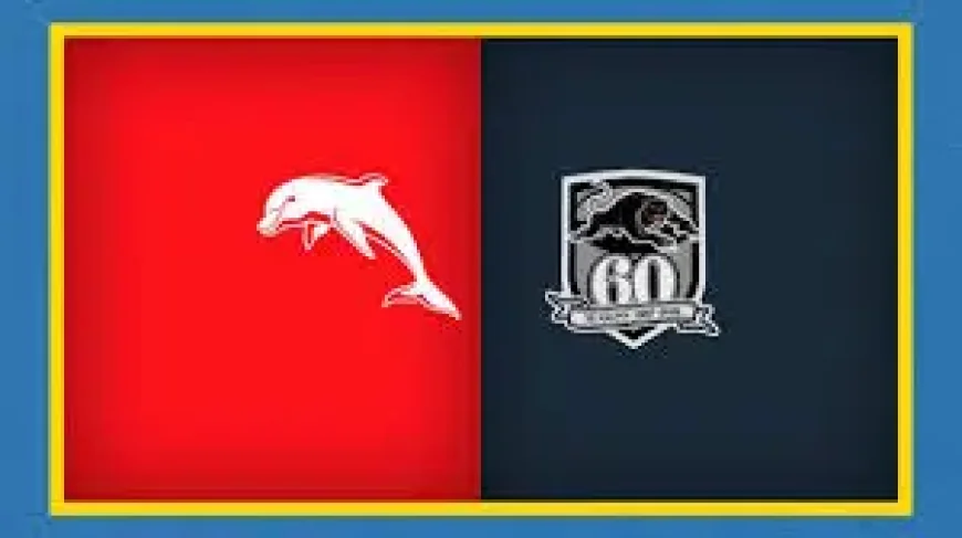 Dolphins Nrl tipped for Darwin upset as Panthers lose key men