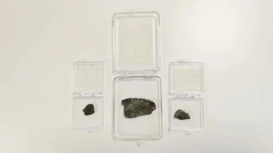 Martian Meteorite Mystery: 7 Contaminants, Including Ballpoint Pen Ink, Found in Rare Samples