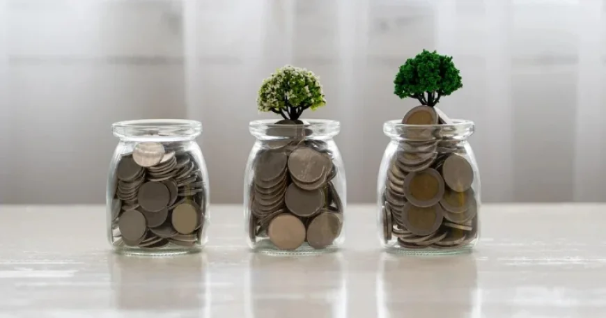 Maximize Earnings: Compare $12,000 in CD, High-Yield Savings, or Money Market