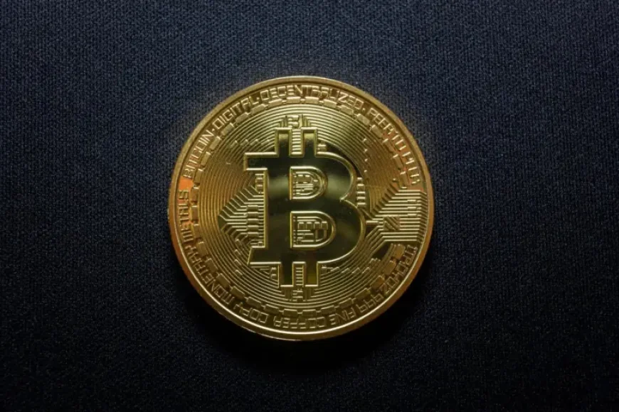 Btc Price Usd as Bitcoin Retests Confidence After Draper’s 18-Month Call