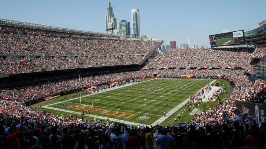 Bears Face Deadline to Choose New Stadium Location