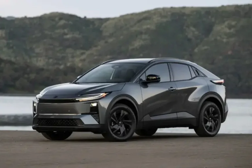 Véhicule électrique à petit prix: how a crowded market is changing the family car