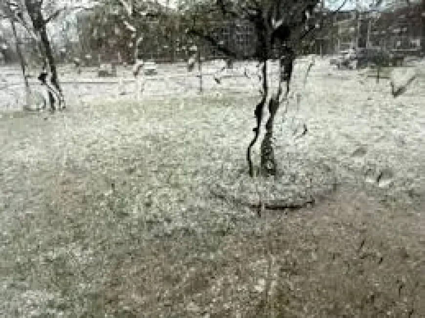 Weather Radar Brings a Sharper Focus to Saturday’s Severe Storm Threat