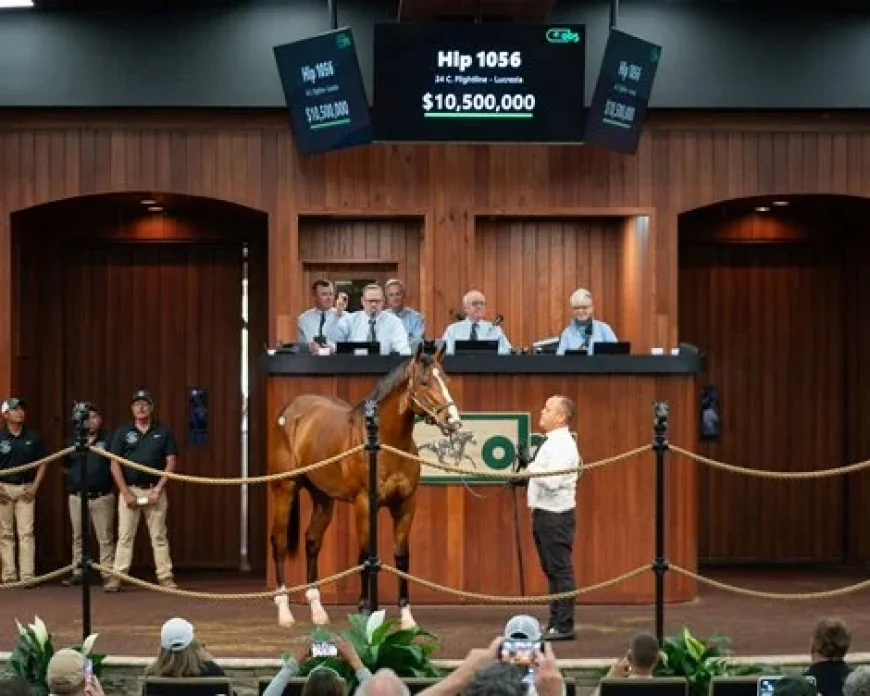 Flightline Colt Breaks OBS Record with $10.5M Sale