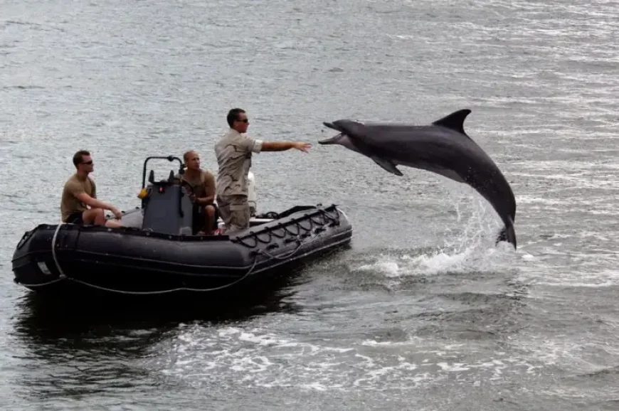 United States Navy and the Strait of Hormuz: What Happens When Mine-Clearing Begins