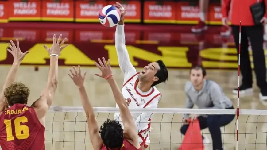 Charlie Brande and the Jordan Lucas backlash after the viral moment