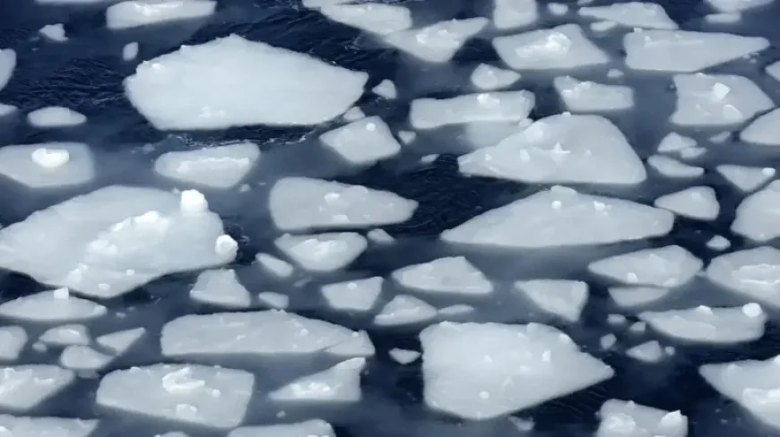 Antarctica sea ice puzzle deepens as robots reveal hidden ocean shift