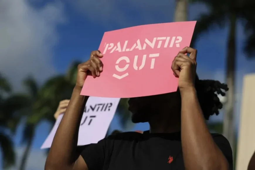 Palantir Avoids 2025 Federal Tax Amid Partnerships with ICE, Pentagon