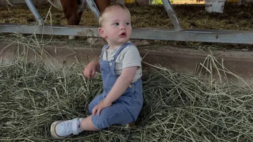 Parenting Under Scrutiny After Influencer Says She Ran Over Her Toddler in a Family Car