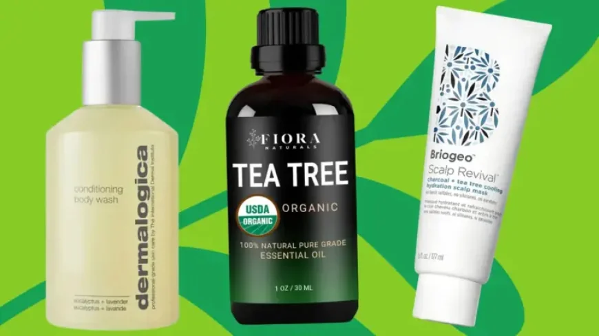 Why Tea Tree Oil Is Praised for Care, Yet Demands Caution in Use