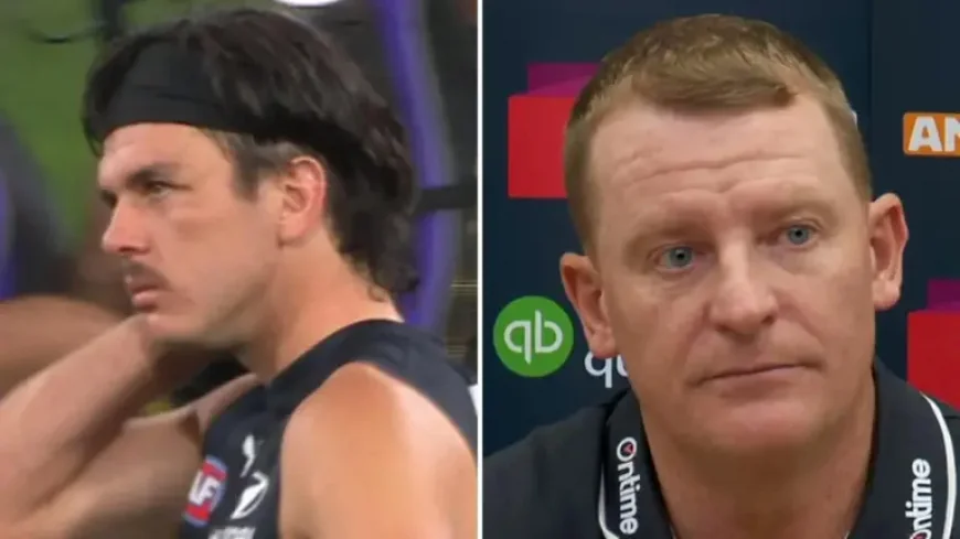 Elijah Hollands Mental Health as AFL inquiry deepens after Carlton review