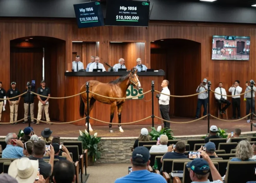 Flightline Colt Sells for $10.5 Million at OBS April Sale