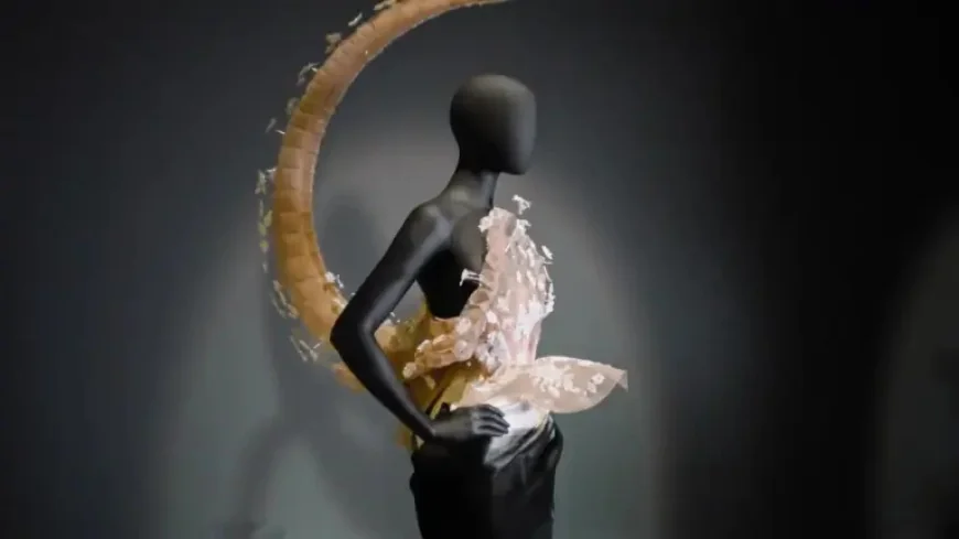 Daniel Roseberry and the Schiaparelli Exhibit: What the V&A Is Really Showing