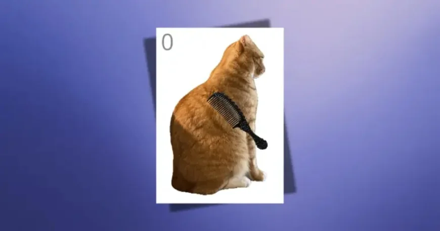 Brush Jjaemu as the viral cat game craze builds momentum