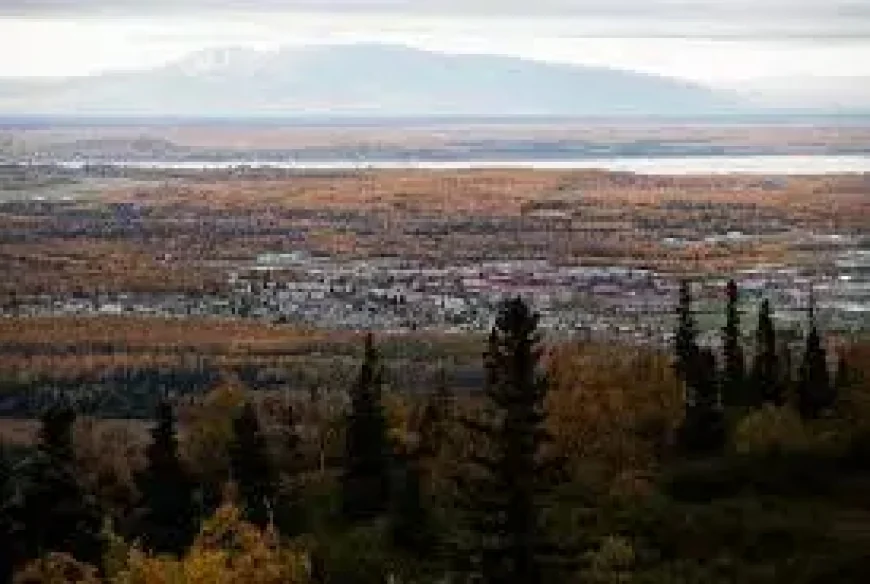 11th Airborne Division Bear Encounter as Alaska Training Risks Come Into Focus