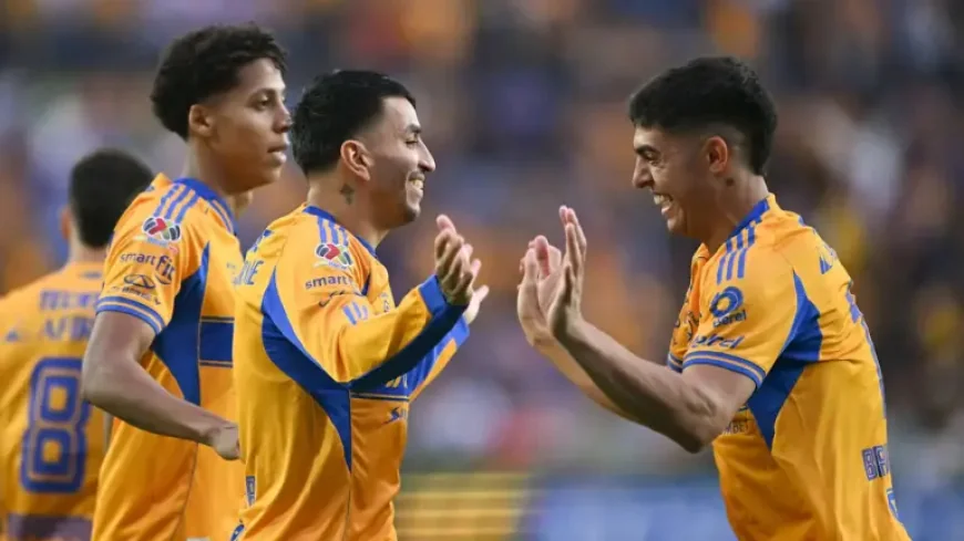 Necaxa – Tigres at the Turning Point of Jornada 15