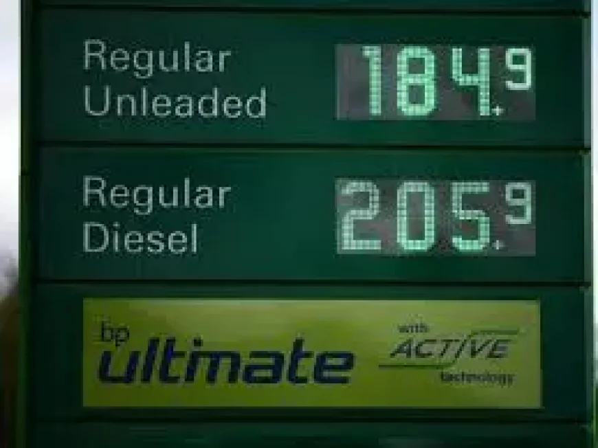 Petrol Price Today: UK fuel costs finally ease after 6 weeks of rises