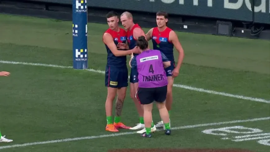 Harrison Petty exit raises a bigger question for Melbourne after ‘worrying scenes’ at the MCG