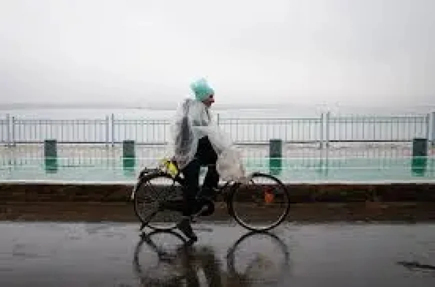 Monsoon Woes and Fertilizer Strains: 3 Pressure Points for Indian Farming