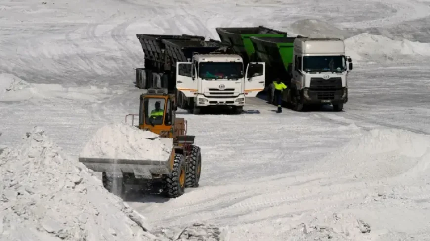 Us Competition Rare Earths China: US Backs South Africa Project Despite Diplomatic Clash