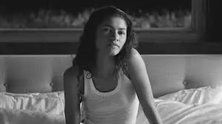 Euphoria Season 3 Cast: 7 Returning Stars and the Newcomers Shaping HBO’s Next Chapter