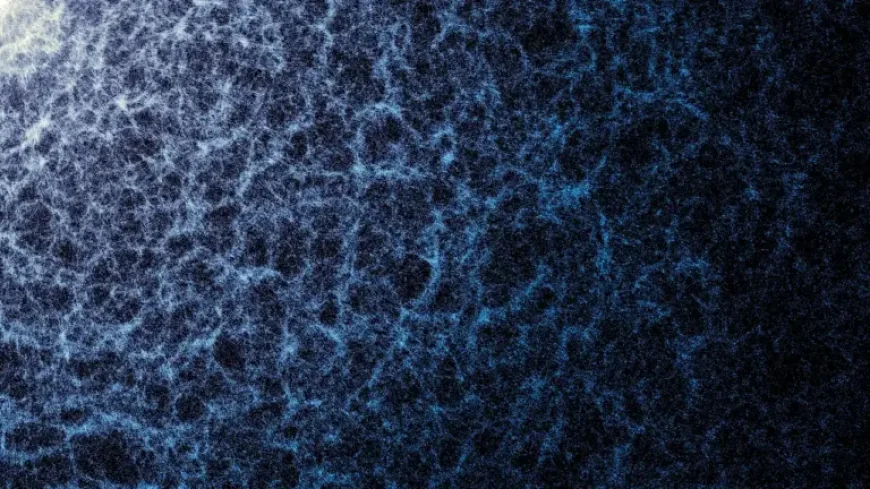 Largest 3d Universe Map Expands After DESI Finishes Planned Survey