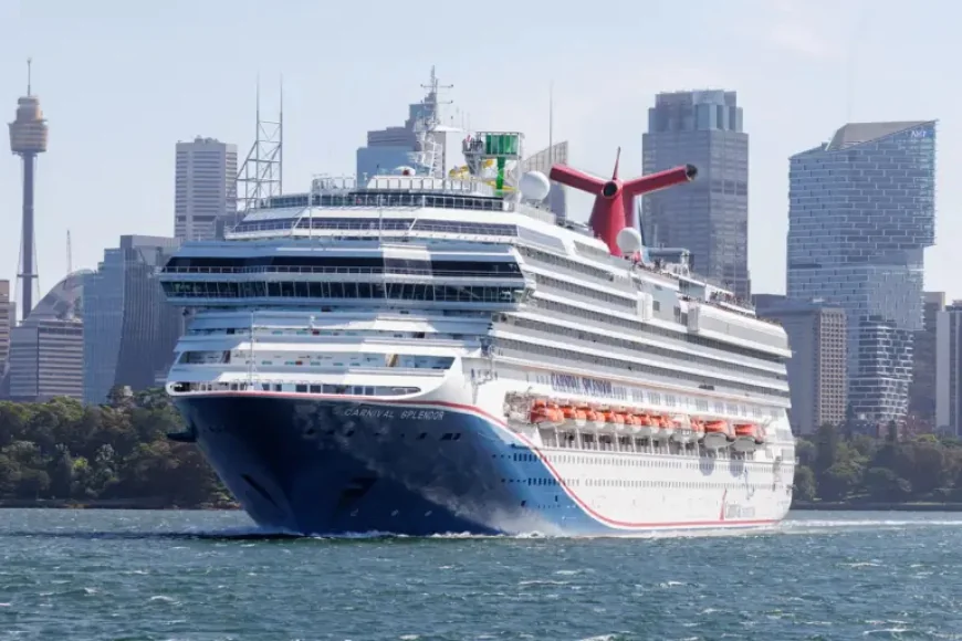 Overboard Carnival Cruise Ship Search Expands After Separate Tragedies at Sea