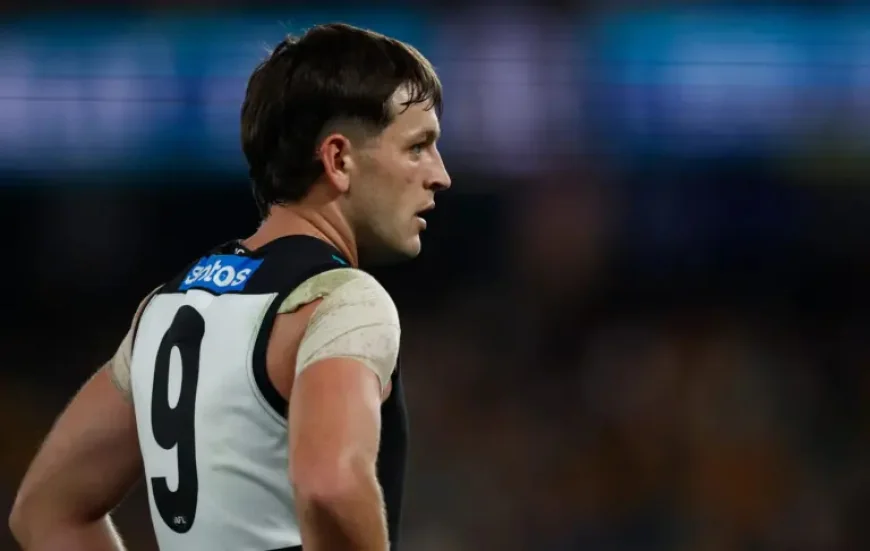 Zak Butters Afl Tribunal: Appeal upheld as umpire abuse finding is quashed after tribunal conduct row