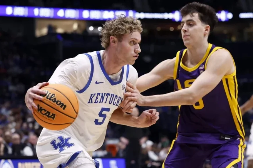 Top College Basketball Transfer Fits: Louisville, Illinois Secure Prime Matches