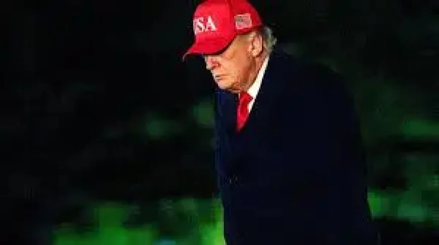 Bbc Exposes the Hidden Trading Pattern Looming Over Trump’s Presidency