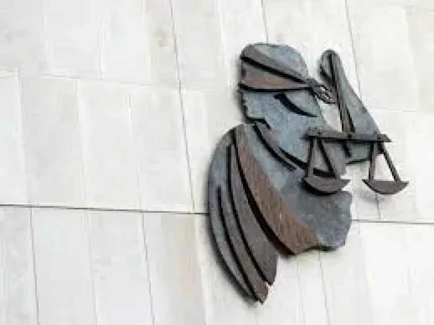Judge Sends Dublin Man’s Claim to DPP After ‘Nothing but a Lie’ Ruling