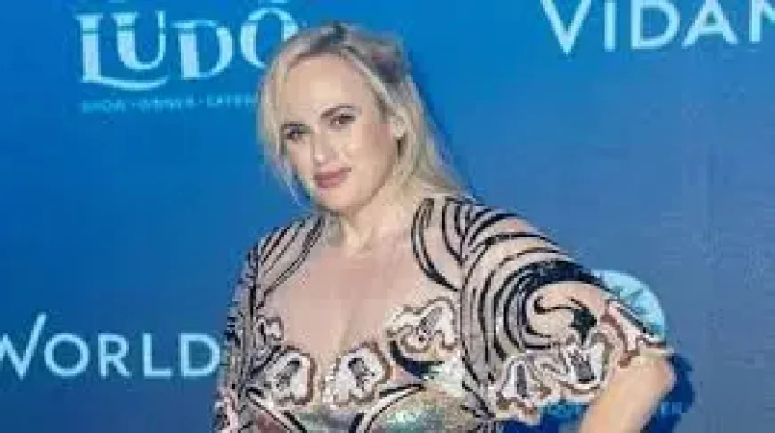 Rebel Wilson and the Sydney defamation trial turning on 4 posts and a disputed bath incident
