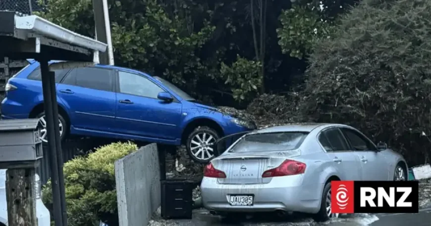 Wellington Weather Turns a Capital Into a Waiting Room