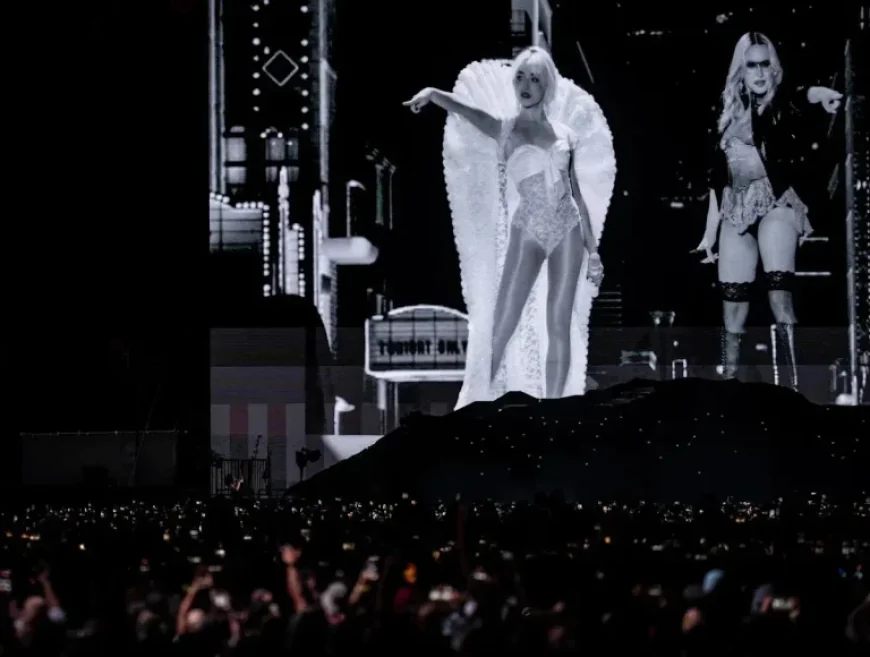 Madonna Seeks Return of Lost Clothing from Coachella