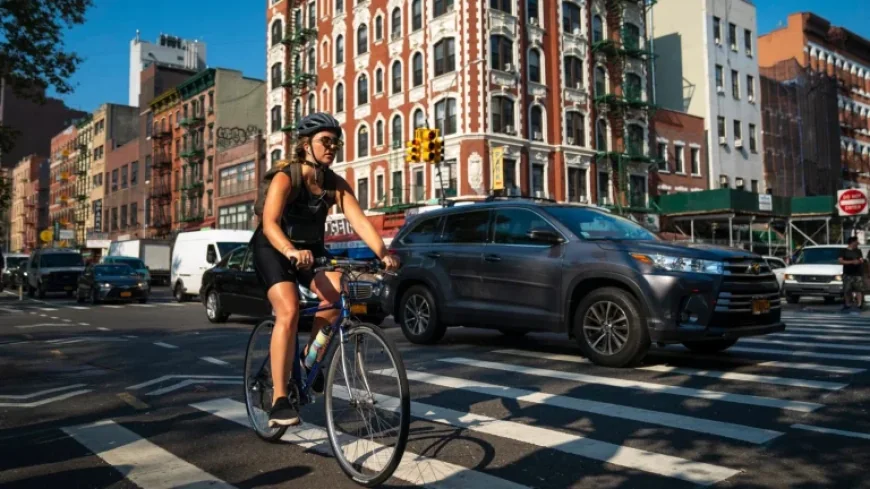 “Reacher Producer Captures Robbery Suspect in New York City”