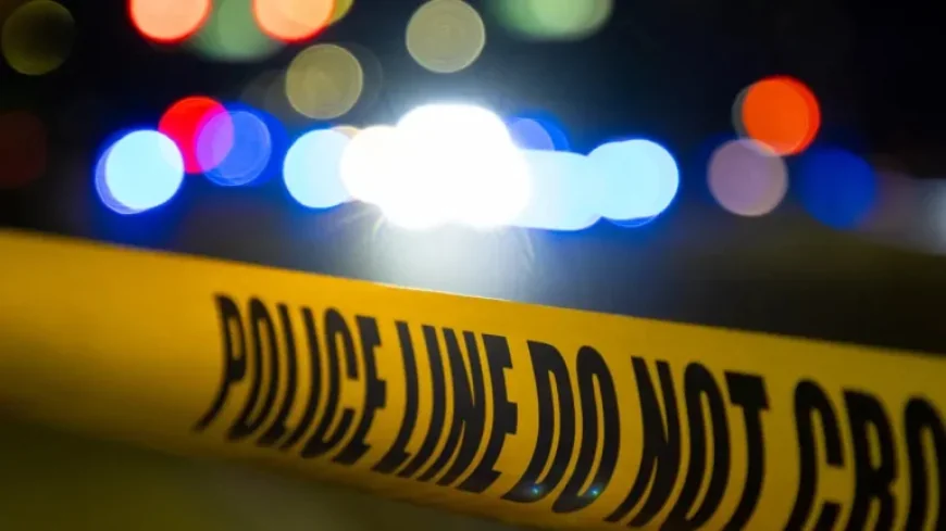 Joseph Savarino, Mike Krzyzewski’s Grandson, Faces DWI Charges