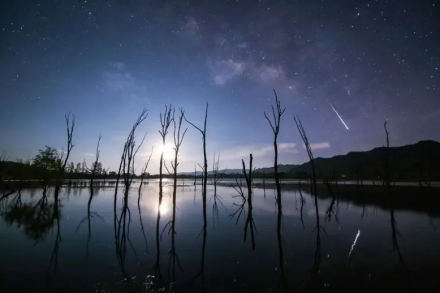 Lyrid Meteor Shower Tonight Brings a Quiet Reminder to Look Up