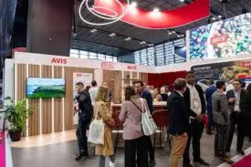 Avis Stock Surges 33.1%: 3 Signals Behind the Short Squeeze Rally