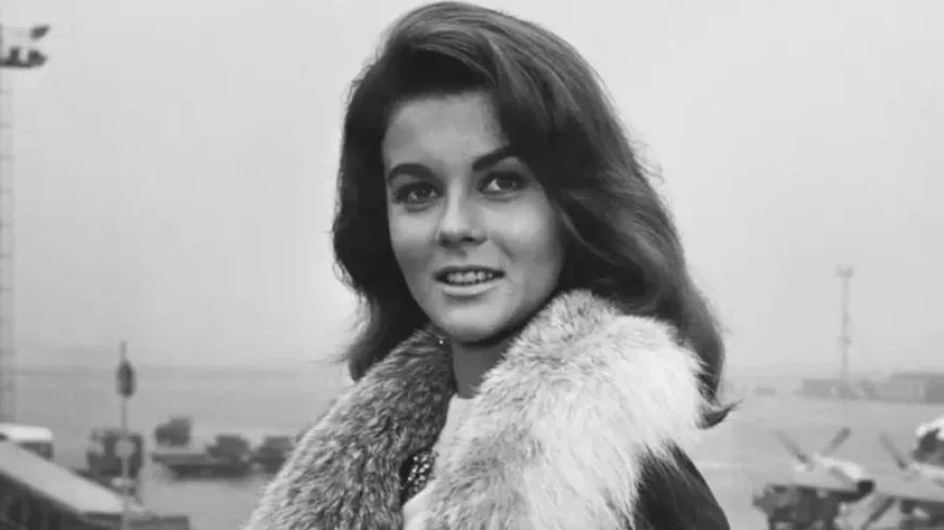 Ann Margret on DWTS: Why the Icon Says the Timing Was Never Right