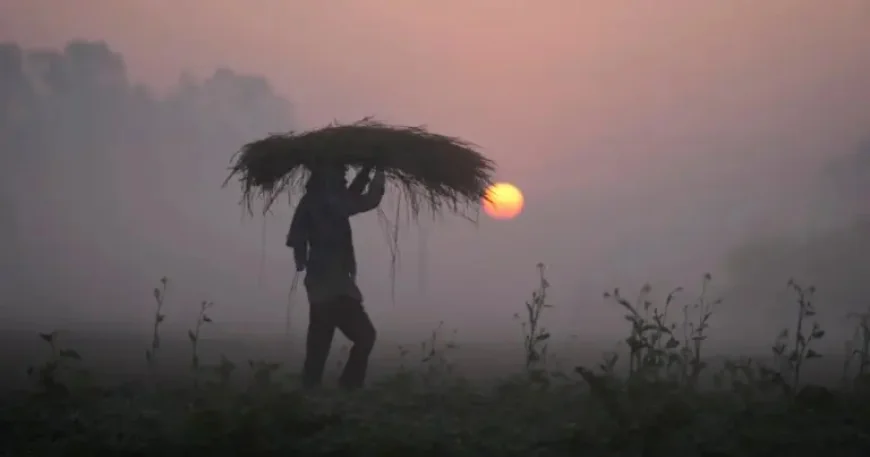 Food Prices Under Pressure as Red Diesel Costs Jump 56% and Farmers Warn of Cuts