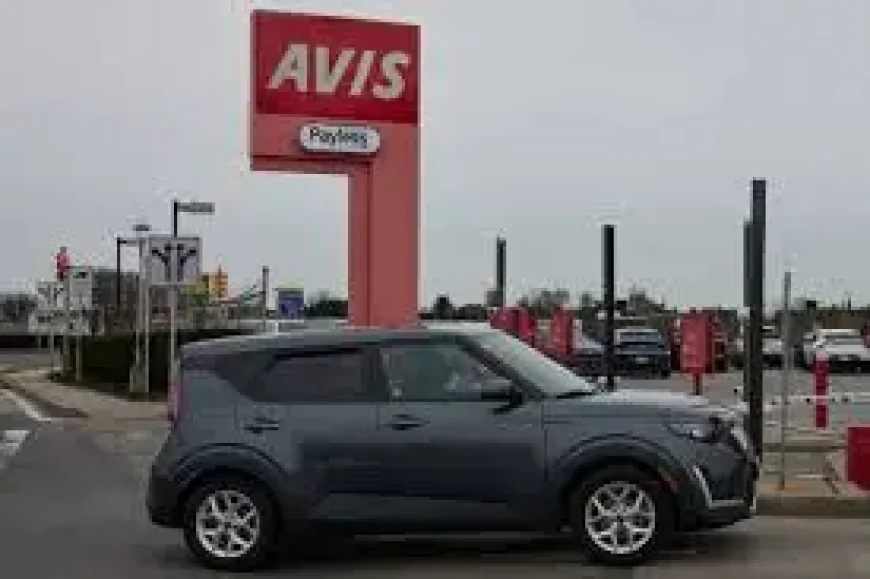 Car Stock Jumps 23% as a Short Squeeze Overwhelms the Sell Case