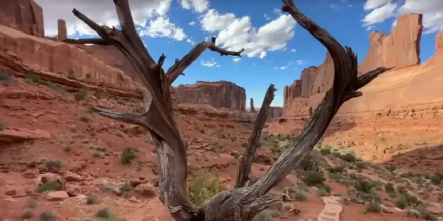 Angels Landing and the family left behind after a deadly fall at Zion
