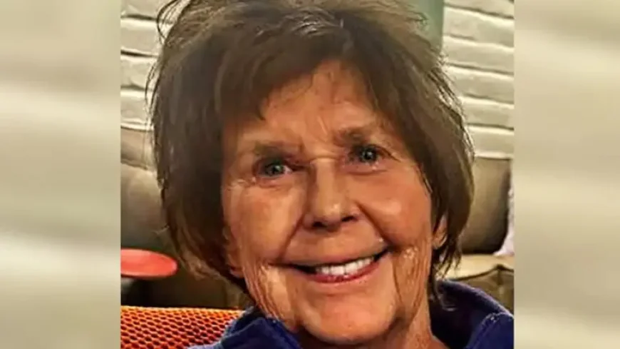 Nancy Guthrie Dna Timeline: 5 Key DNA Developments Shaping a High-Stakes Search