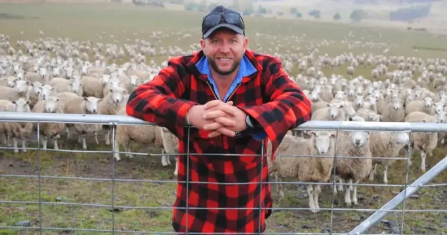Weaning gains of 20pc: How one Tasmanian farmer changed lamb results with Gippsland genetics