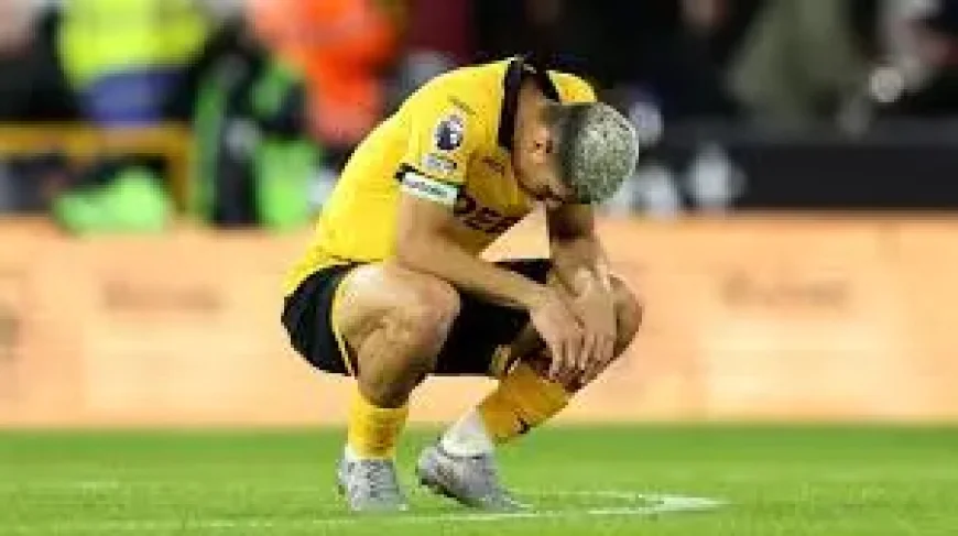 Crystal Palace Draw Sends Wolves Down in a Season of Costly Rebuilding
