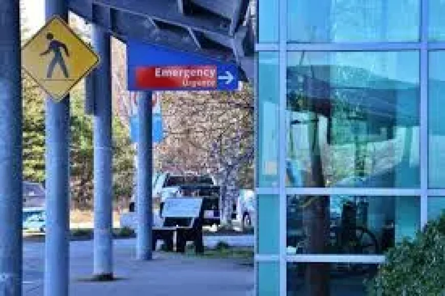 Nova Scotia and the forest ban: what the court ruling means after the shift