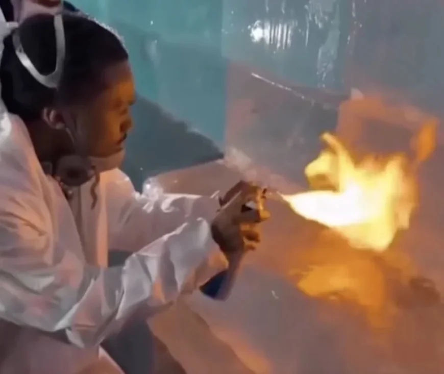 Toronto Police Halt Drake Fans Attacking Ice Structure