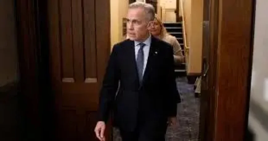 Cusma and the next trade test as summer talks approach