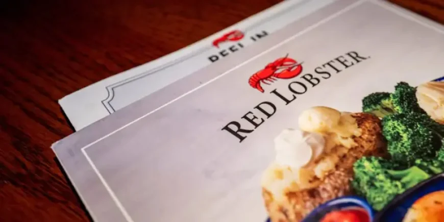 Red Lobster Endless Shrimp Returns With a Human Cost Few Diners See