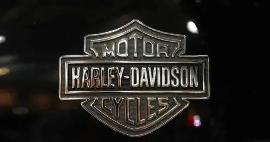 Harley-davidson Softail Models Recall: 16,994 Motorcycles Flagged Over Rear Brake Risk